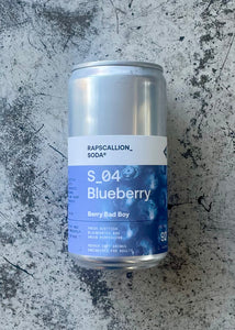 Rapscallion Blueberry Soda (250ml)