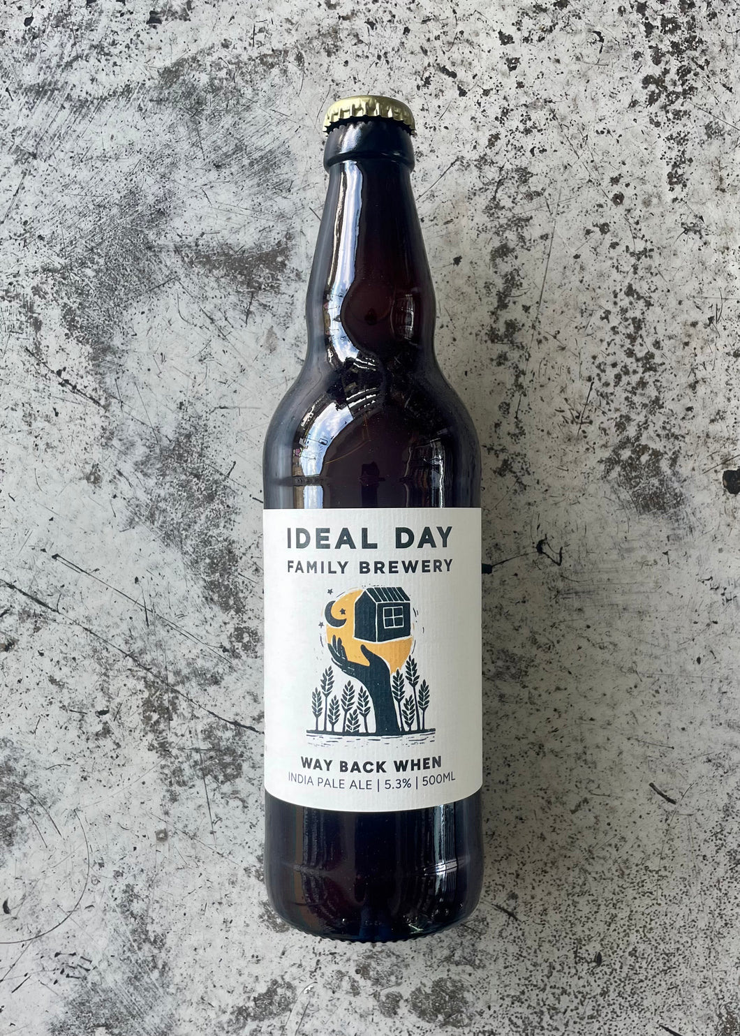 Ideal Day Way Back When 5.3% (500ml)